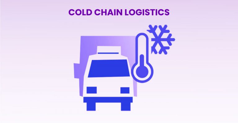 Cold Chain Logistics: Freshness Every Mile